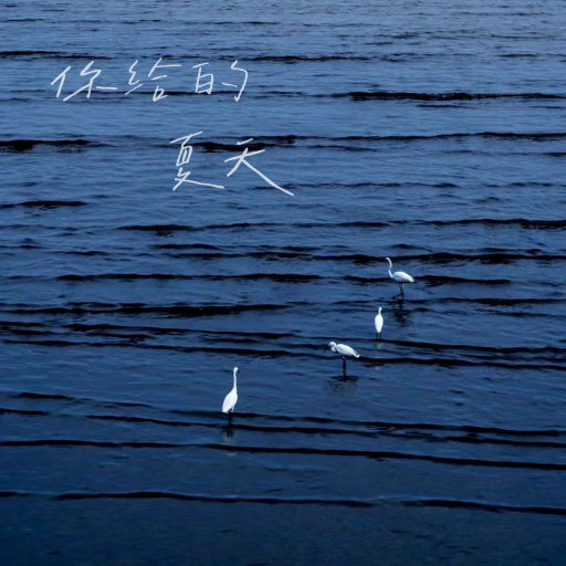 fee性满足HB牲BBW
